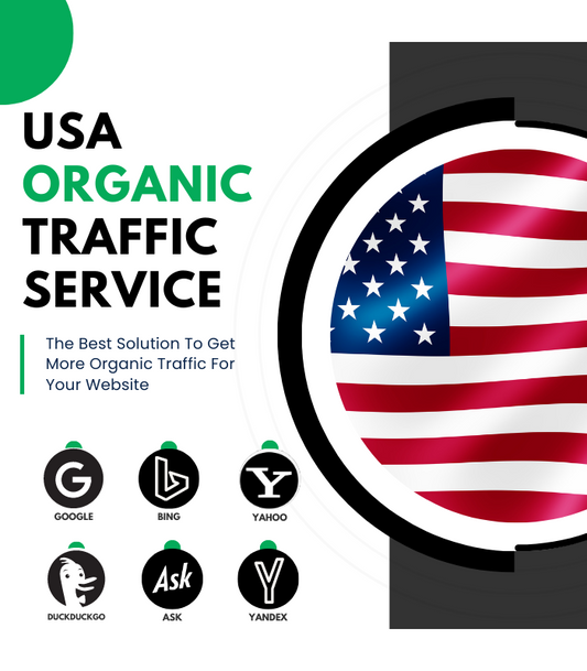 Usa Organic Traffic Service